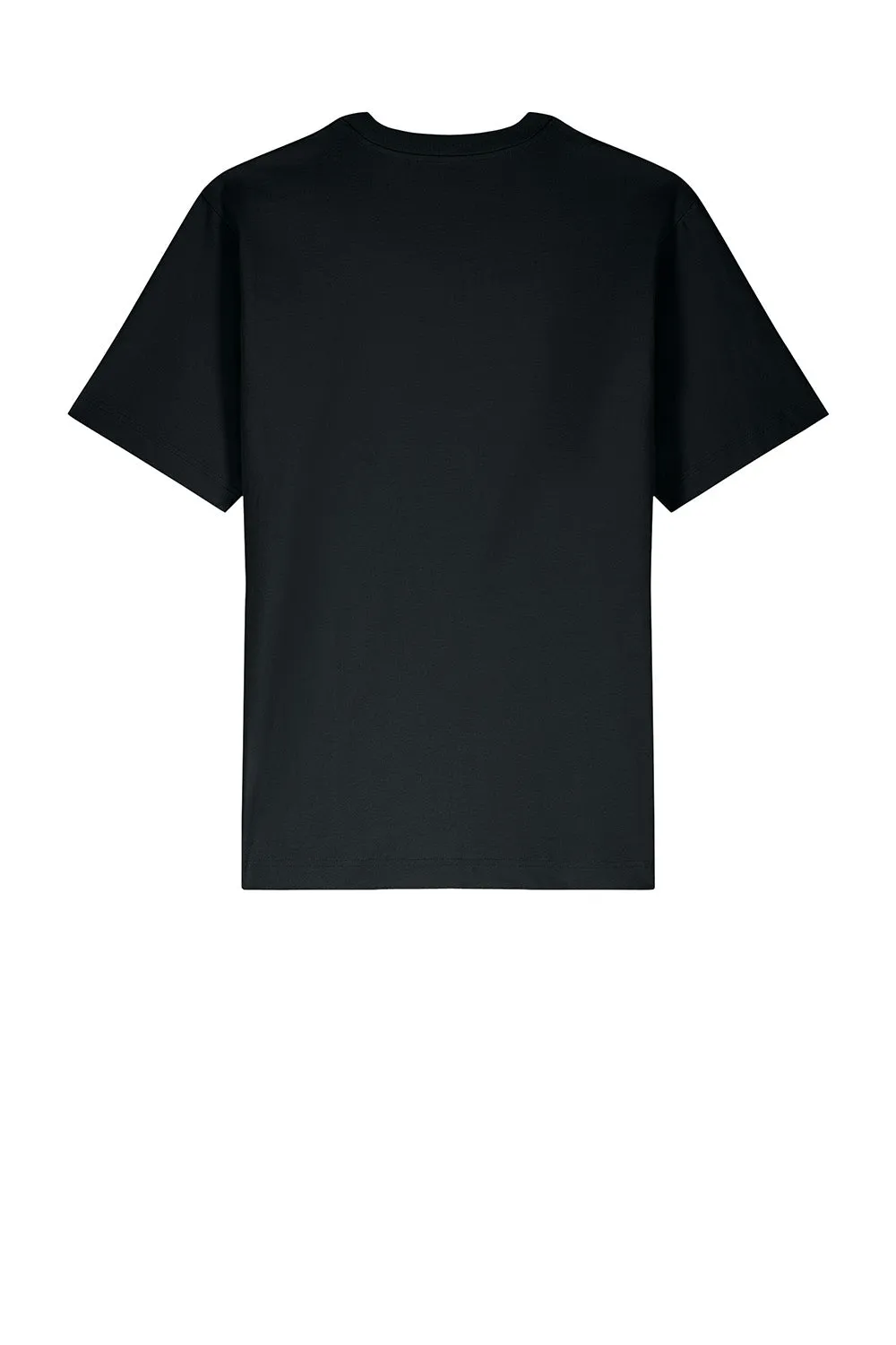 Stanley/Stella Mens Freestyler Heavyweight Short Sleeve Crewneck T-Shirt - Black